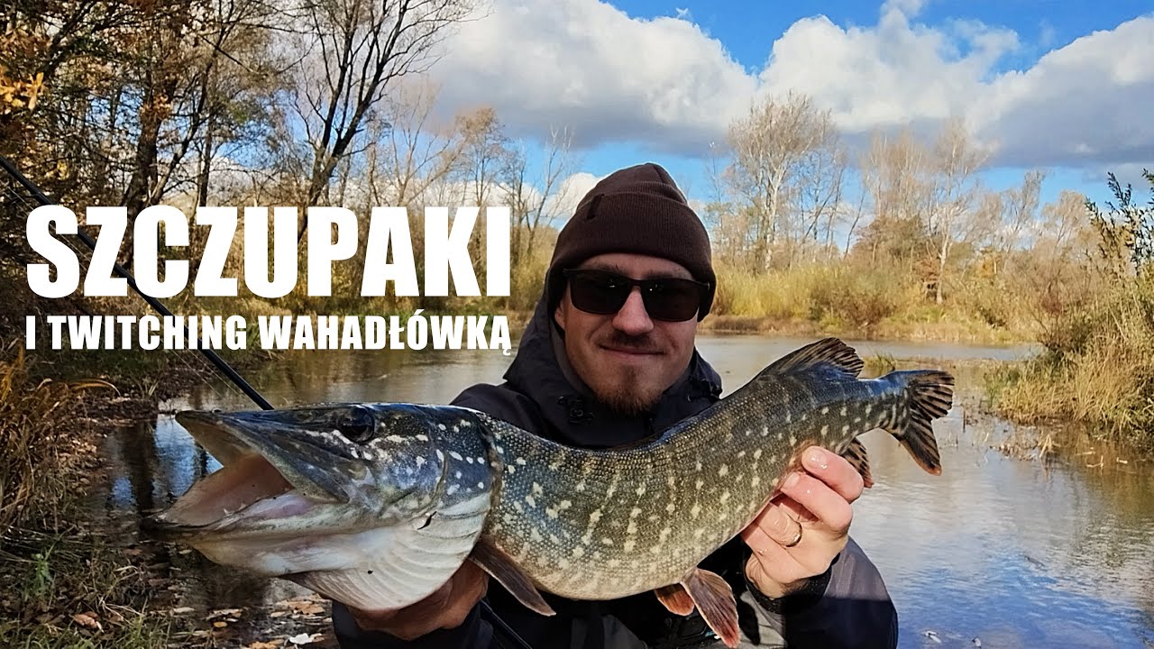 Szczupaki z płytkiego stawu - twitching wahadł&oacute;wką