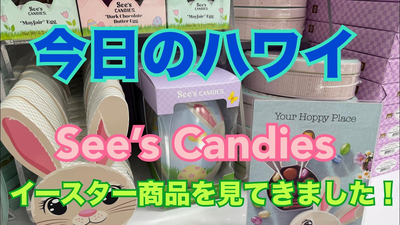 【今日のハワイ】Hawaii Today See’s Candies のイースターを見に行ってみた！#ハワイ 
