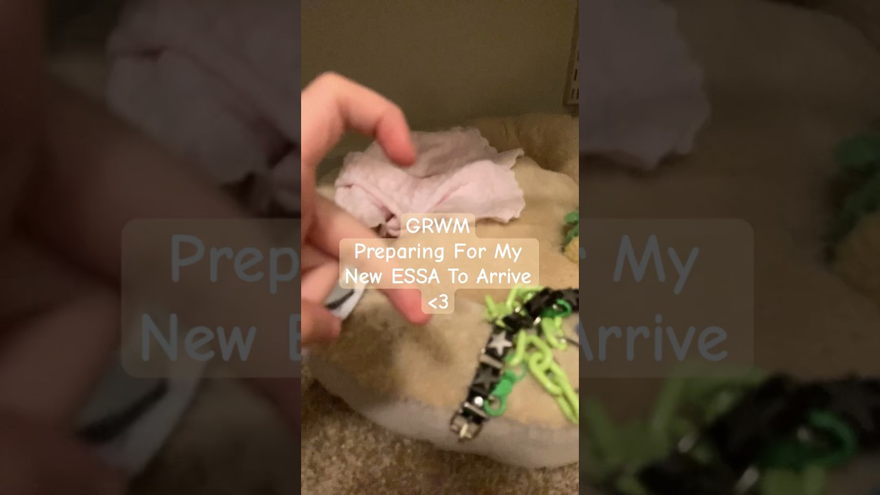 GRWM: Preparing For My New ESSA #essa #esa
