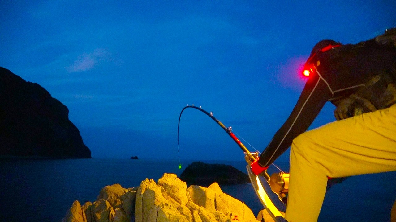 これが大物の巣の洗礼か…。人間の力では全く止められない相手と限界ギリギリの攻防戦