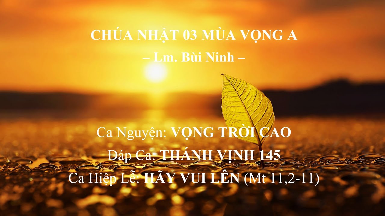 Chúa Nhật 03 MÙA VỌNG A – CA NGUYỆN - ĐÁP CA - CA HIỆP LỄ – Lm. Bùi Ninh