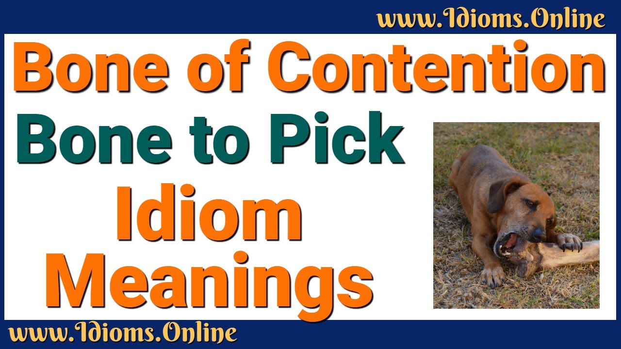 Bone Of Contention | Have a Bone To Pick Meanings w/ Idiom Examples and Origins