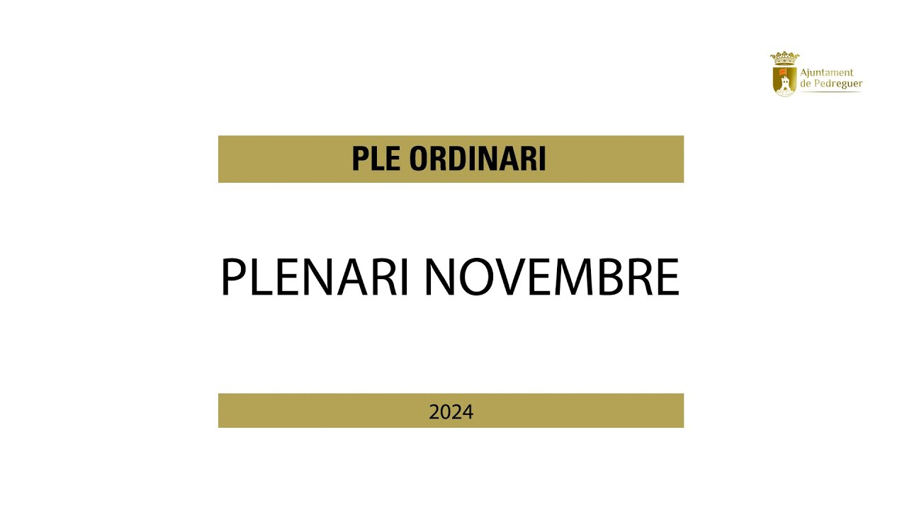 Plenari ordinari 28 novembre 2024