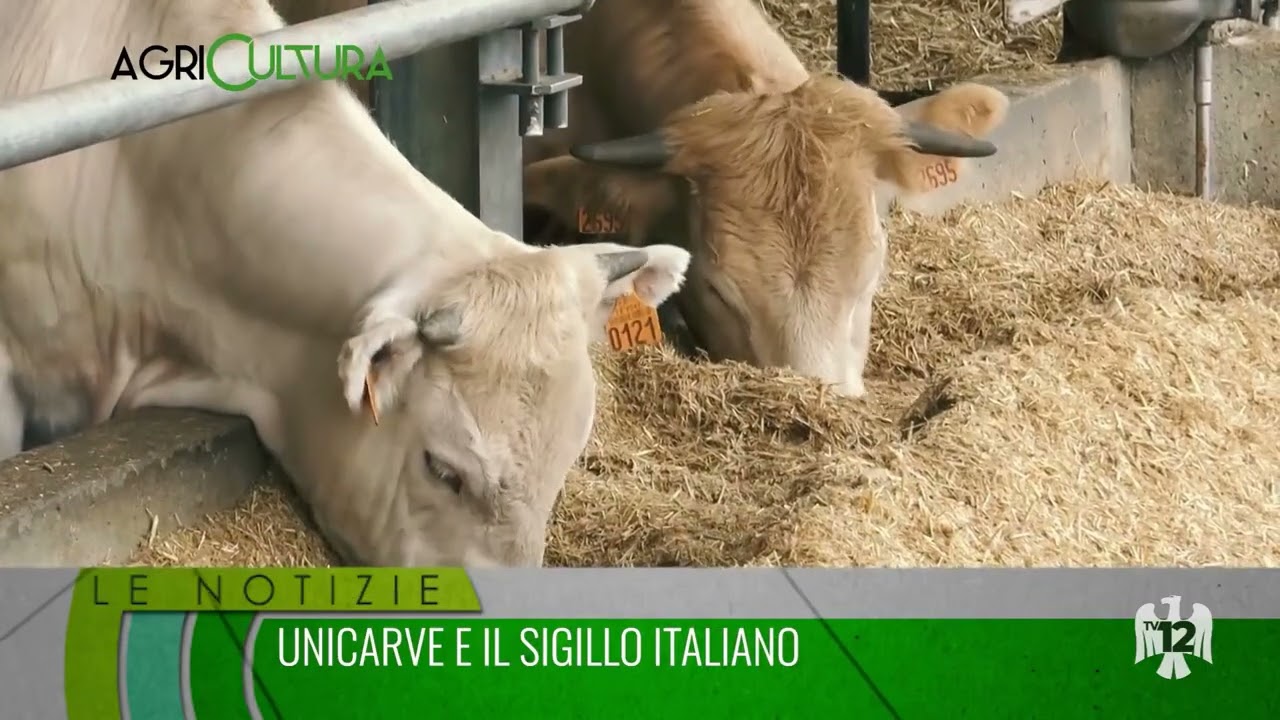 AGRICULTURA | 08/03/2026