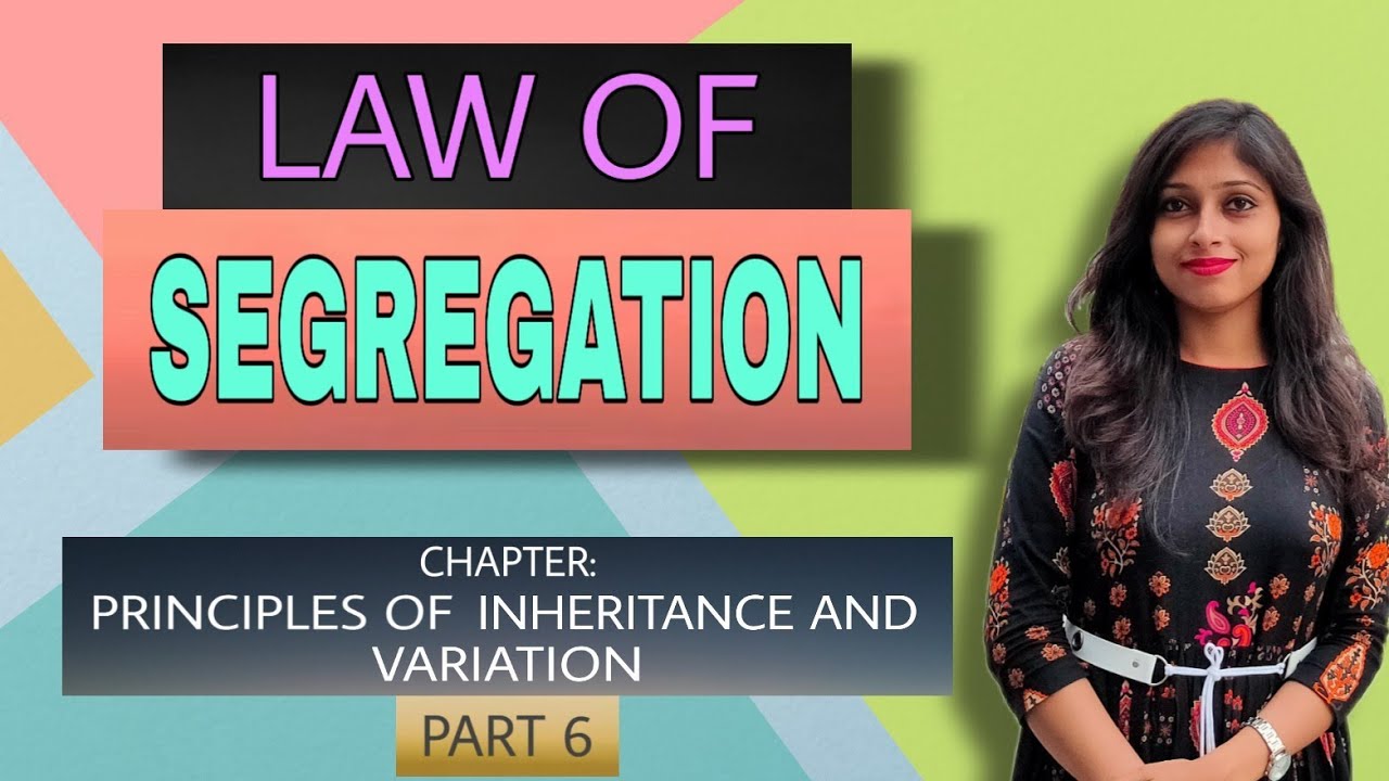 Law of Segregation In Assamese /Part-6/Class 12 Biology||Principles of Inheritance & Variation:AHSEC