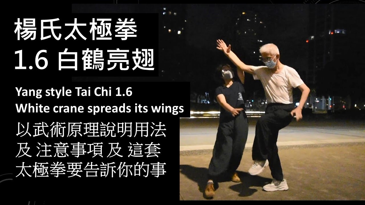 楊氏太極拳 1.6 白鶴亮翅 Yang Style Taijiquan 1.6White crane spreads its wings  以武術的原理說明用法及注意事項，及這趟拳要告訴您的事