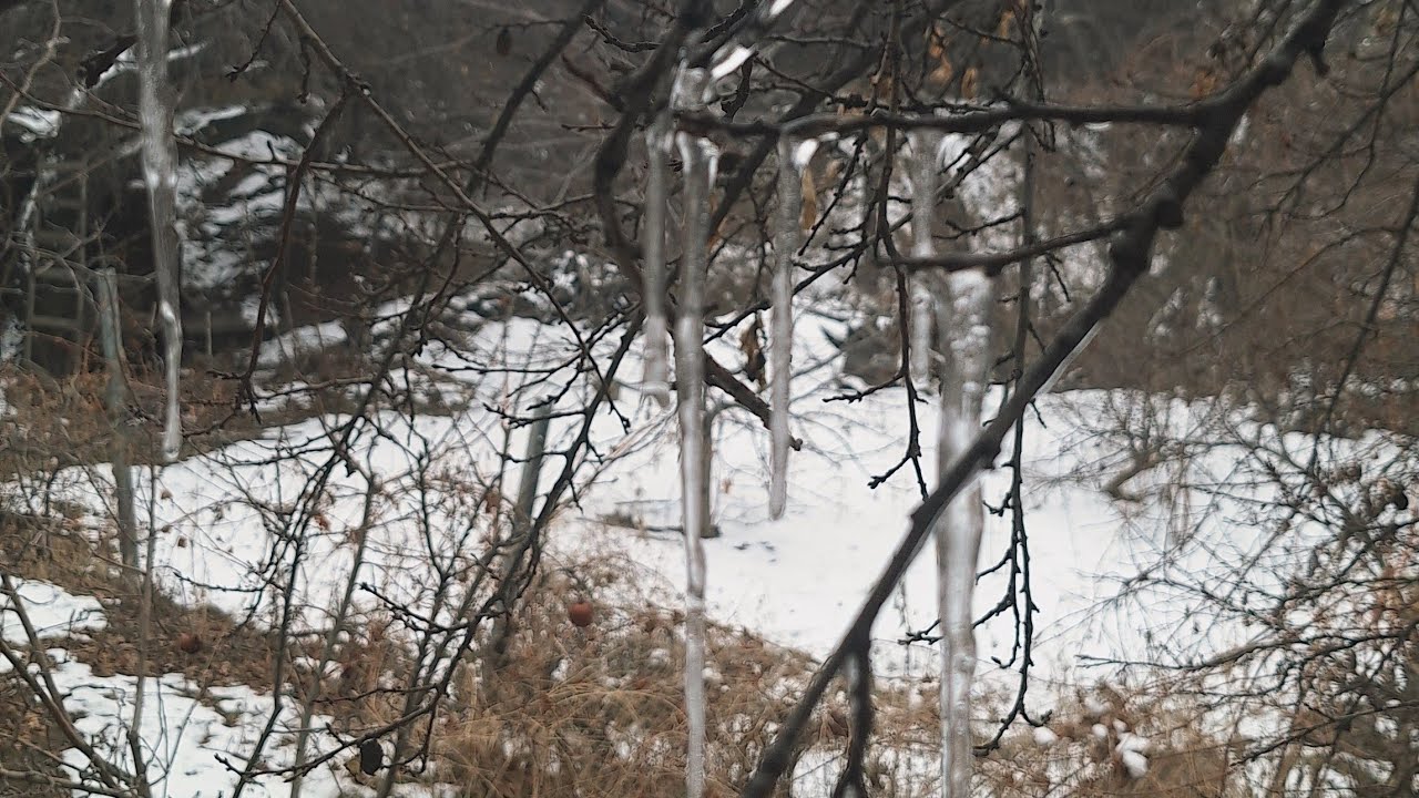 Покупки с ВБ. Аромо свечи ручной работы. Готовим салатики.#жизньдомохозяйки #жизньпосле50 #армения 