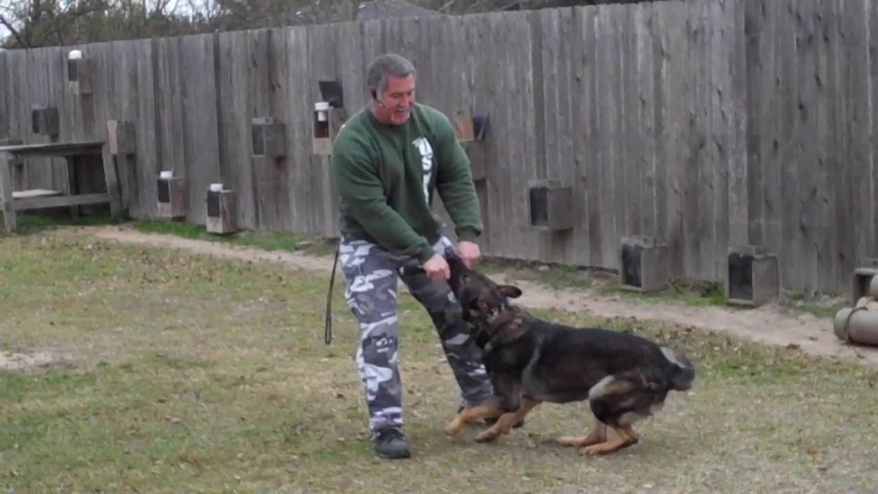 USK9 Roger Dale Abshire & Charon