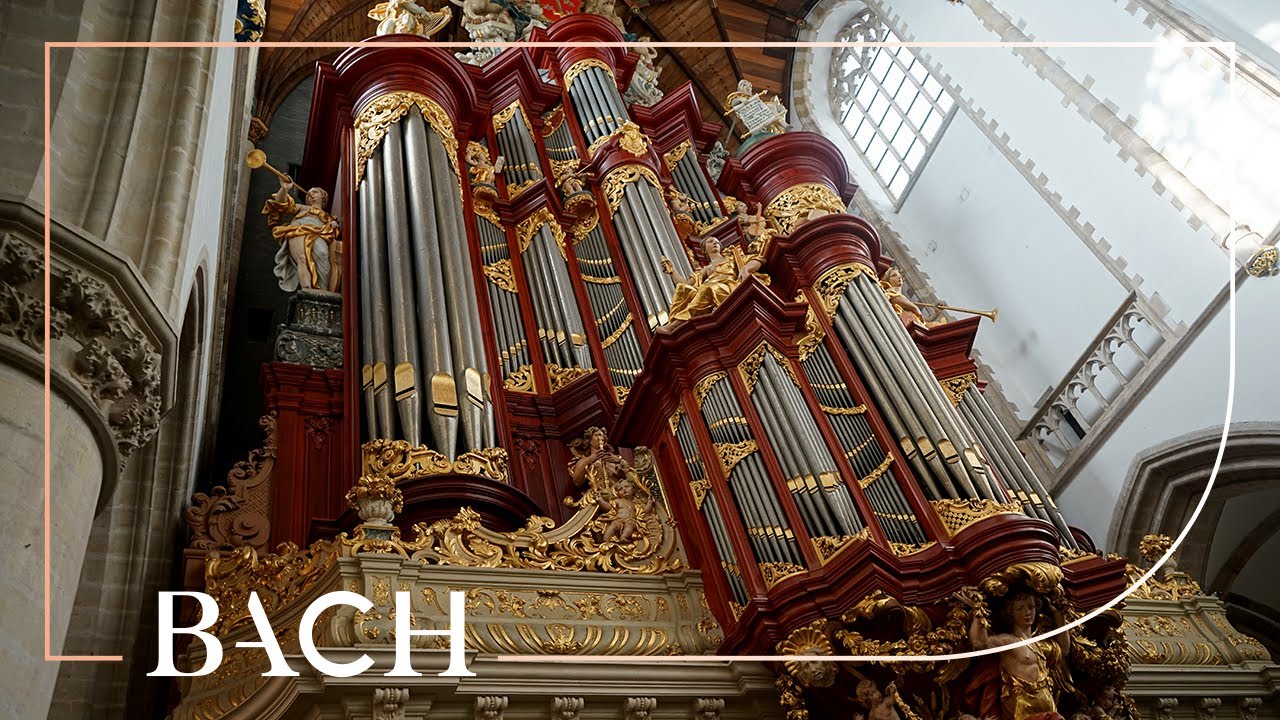 Bach - Fuga sopra il Magnificat BWV 733 - Havinga | Netherlands Bach Society