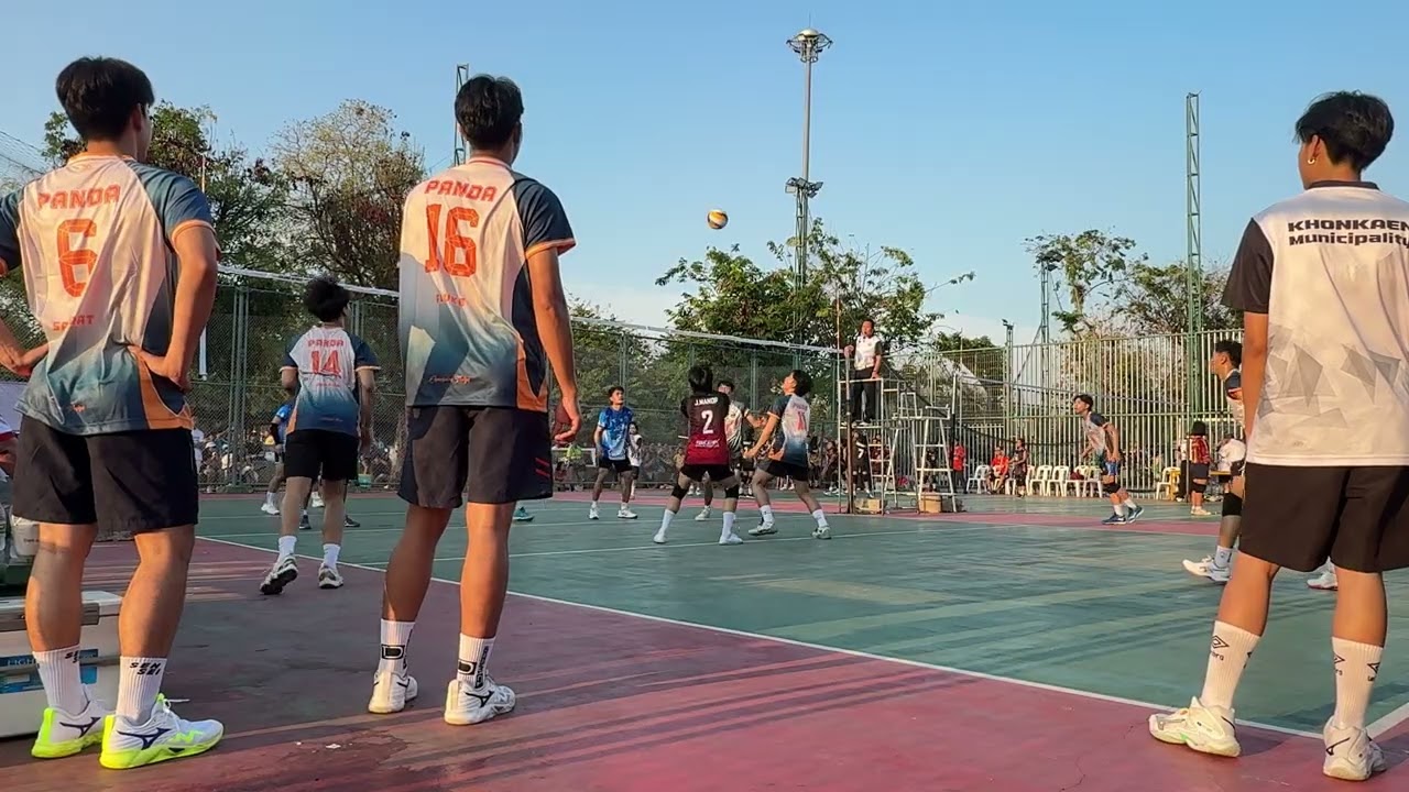 Panda vs Hello set 2