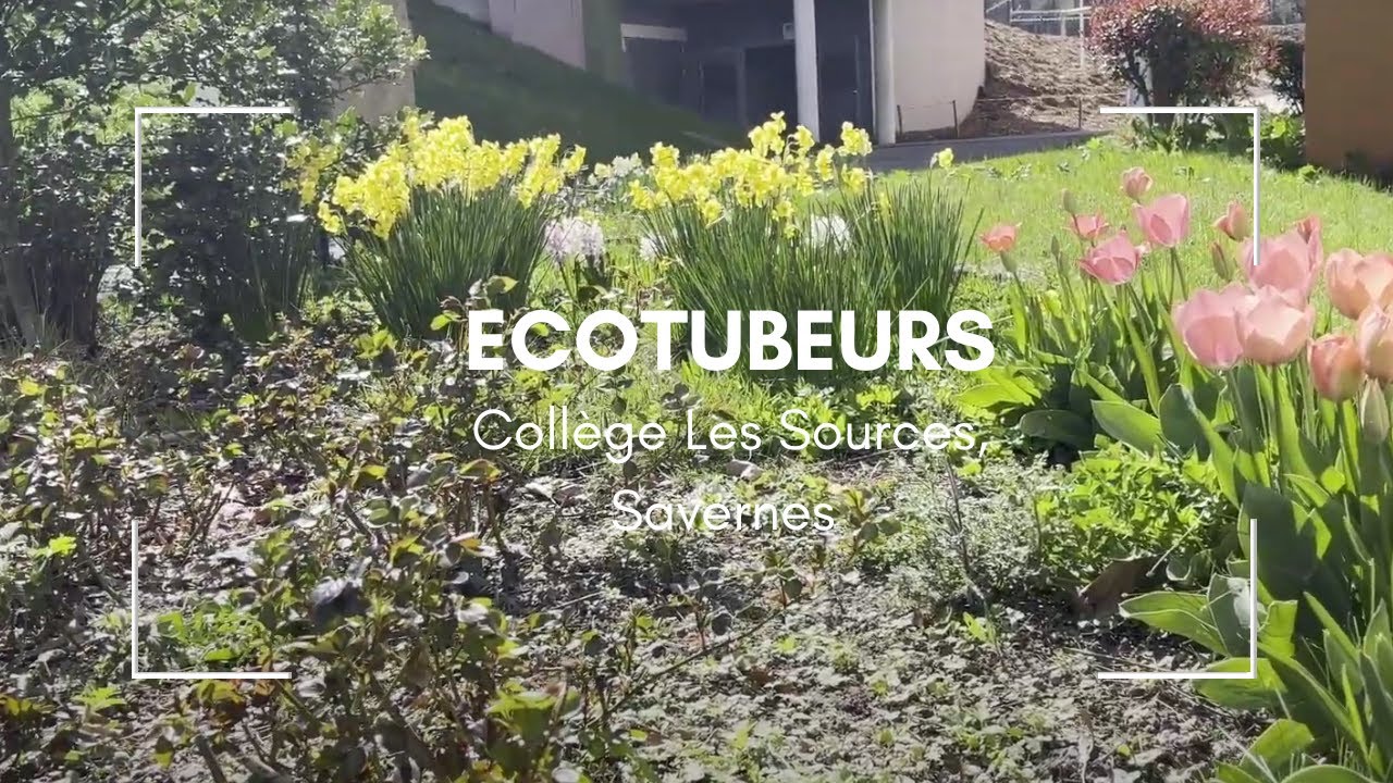 Ecotubeurs (6e) Collège Les Sources, Savernes - AC Strasbourg - Saison 2025