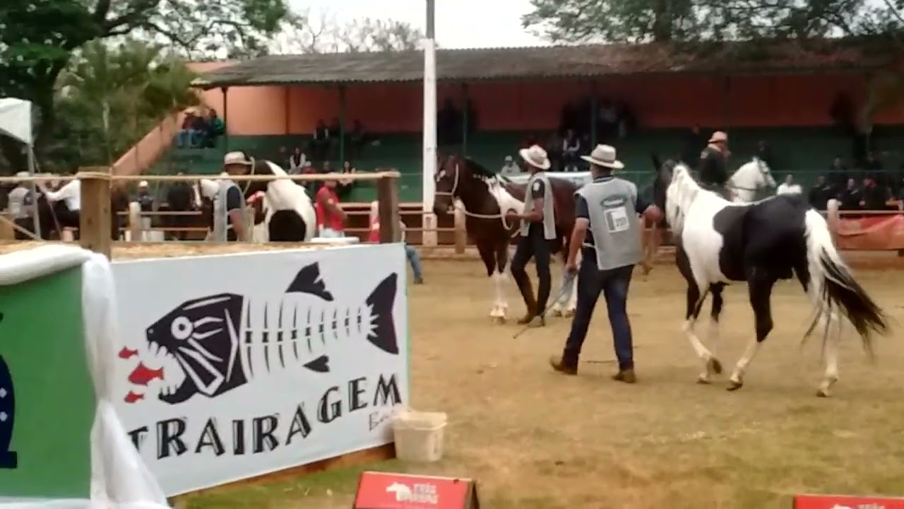 Guardiao da casa nova 1primeiro prêmio nacional de marcha e categoria 2019