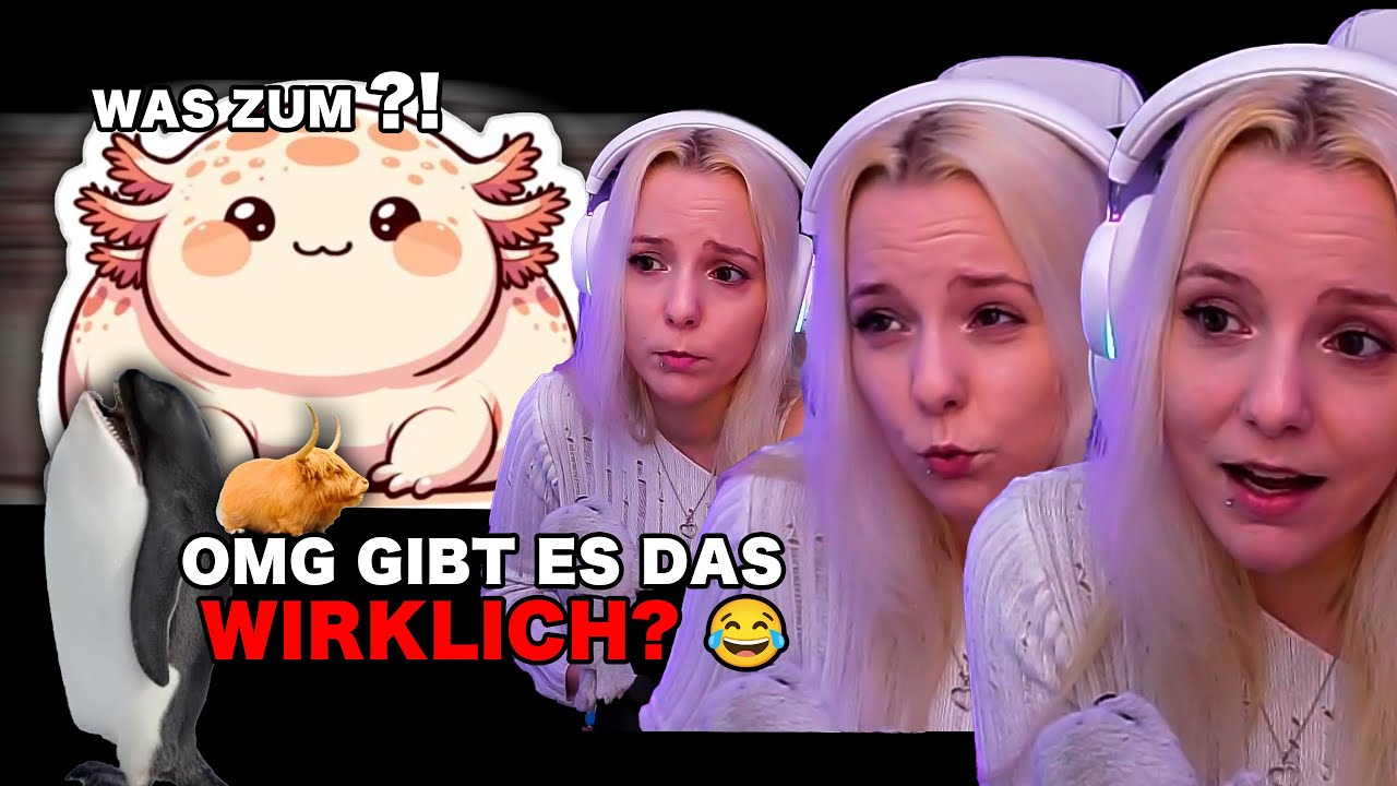 OMG! 🤯 Diese TIERE hast du NOCH NIE gesehen ! BABYANII StreamHighlight