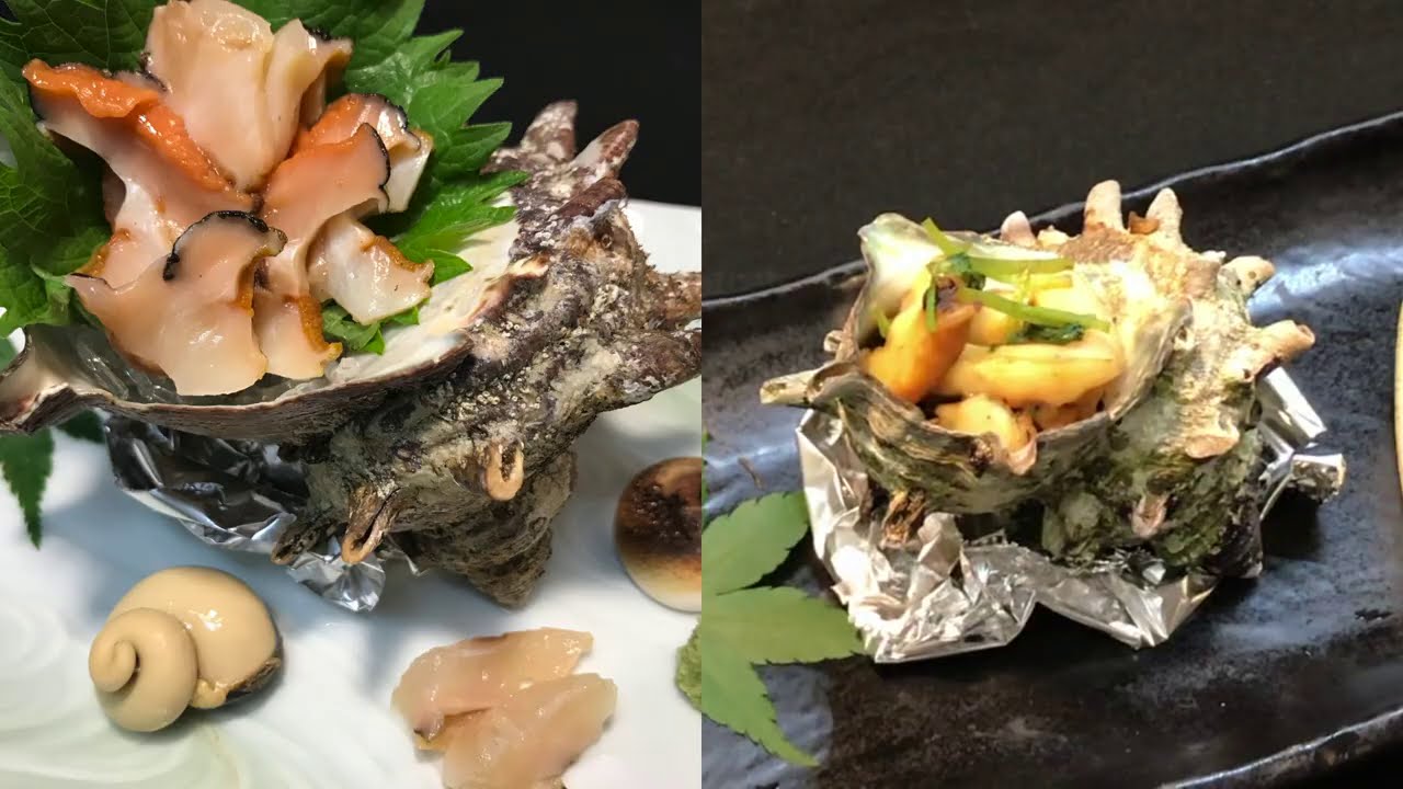 【プロ直伝】 板前が教える！【サザエ下処理から刺身・壺焼きの作り方】サザエをさばいて刺身と壺焼きを詳しくわかりやすく説明しています