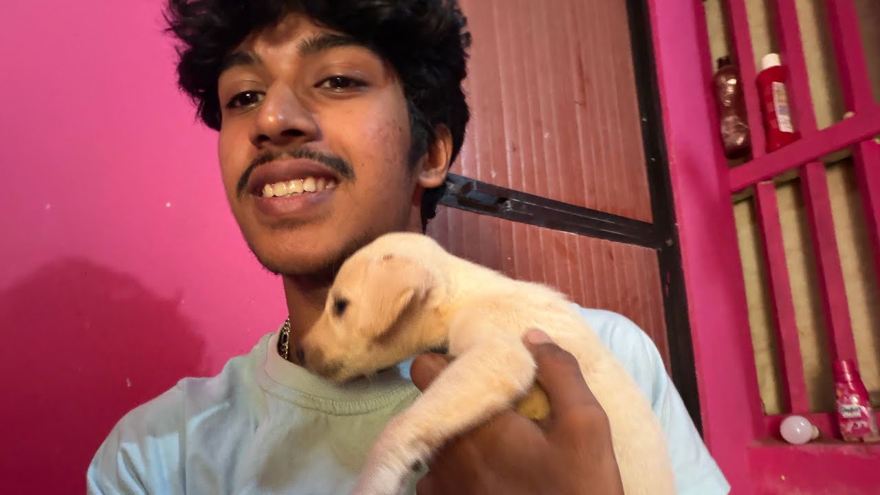 New Member Aa Gaya Ghar Mein 🐶❤️ | Cute Puppy | Full Vlog