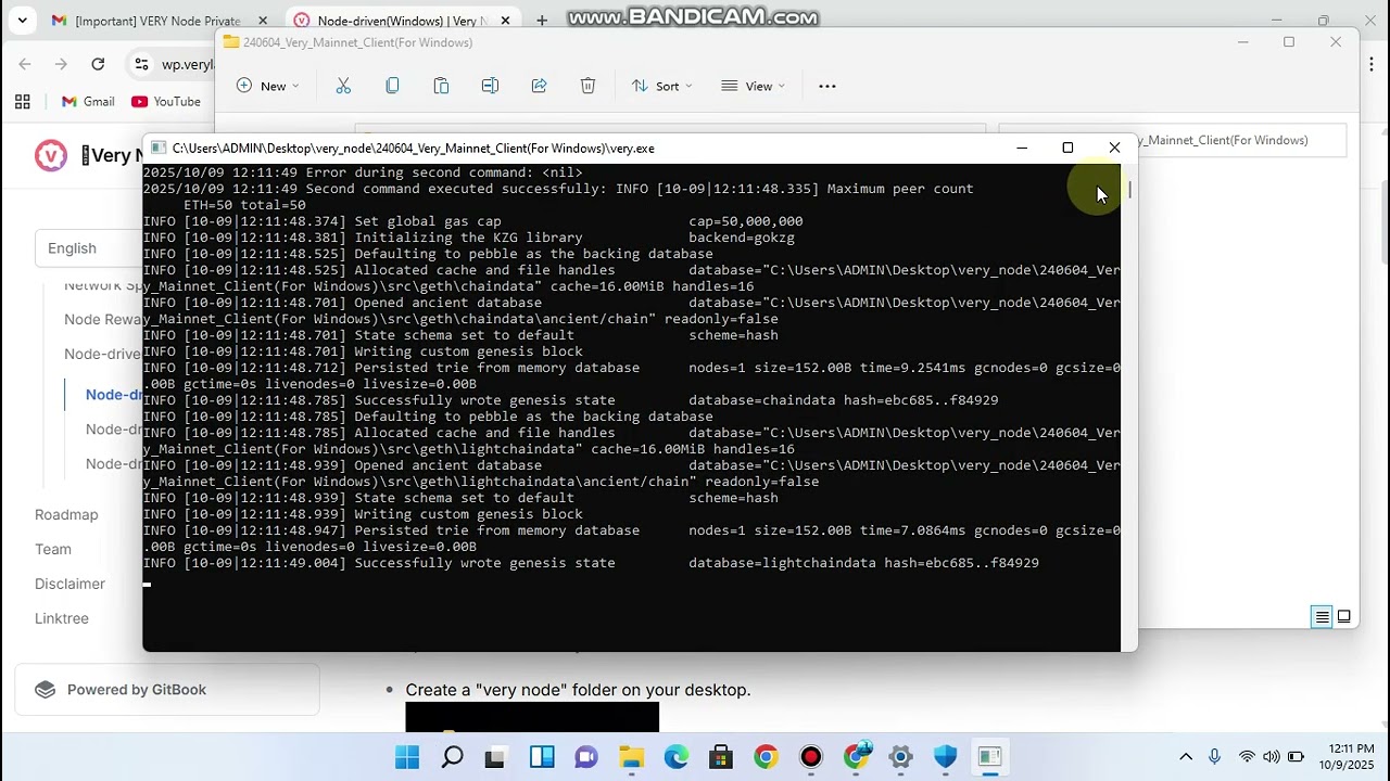 This is how to run your Very Node NFT on your PC (Laptop).