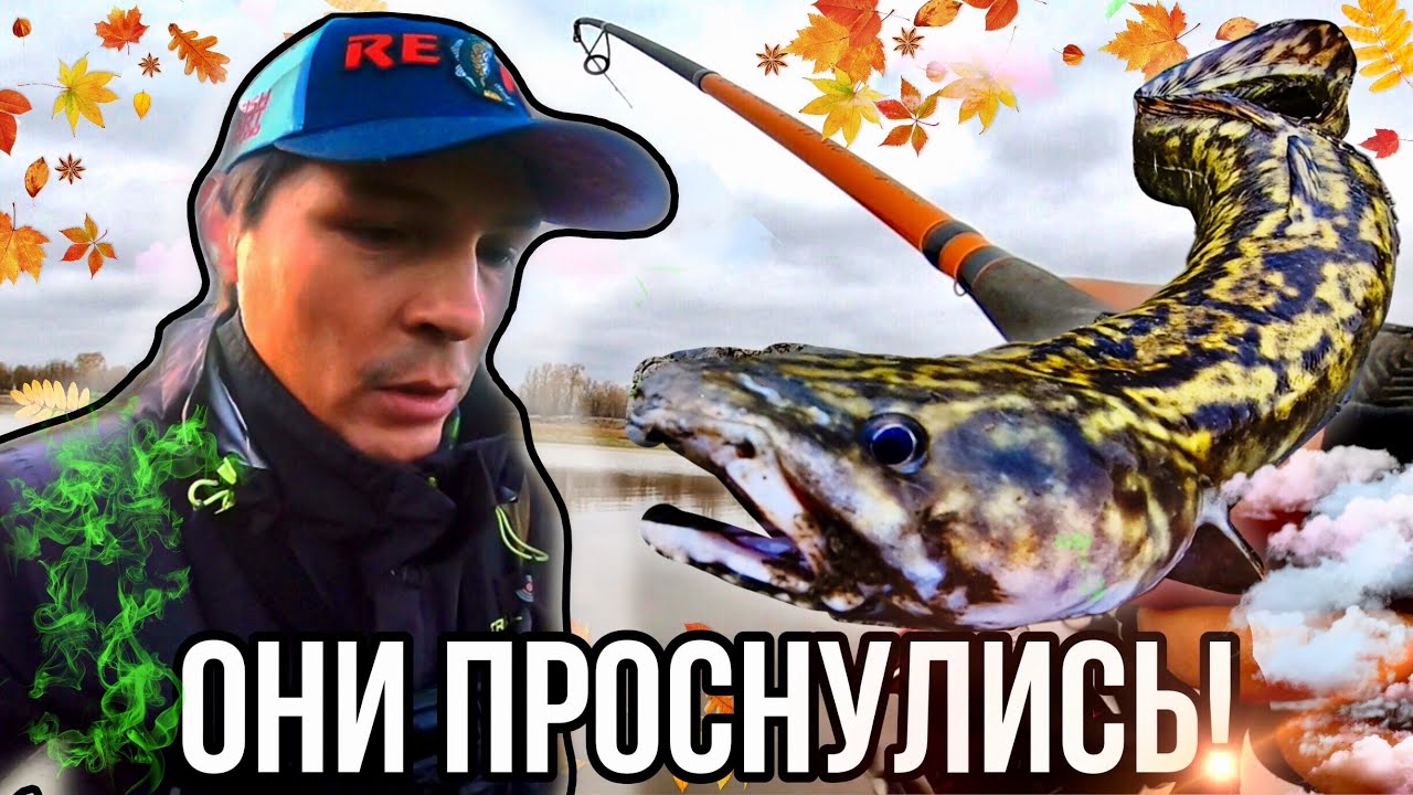 ТОТ ДЕНЬ КОГДА ПРОСНУЛИСЬ НАЛИМЫ С ЩУКАМИ И ОКУНЯМИ.