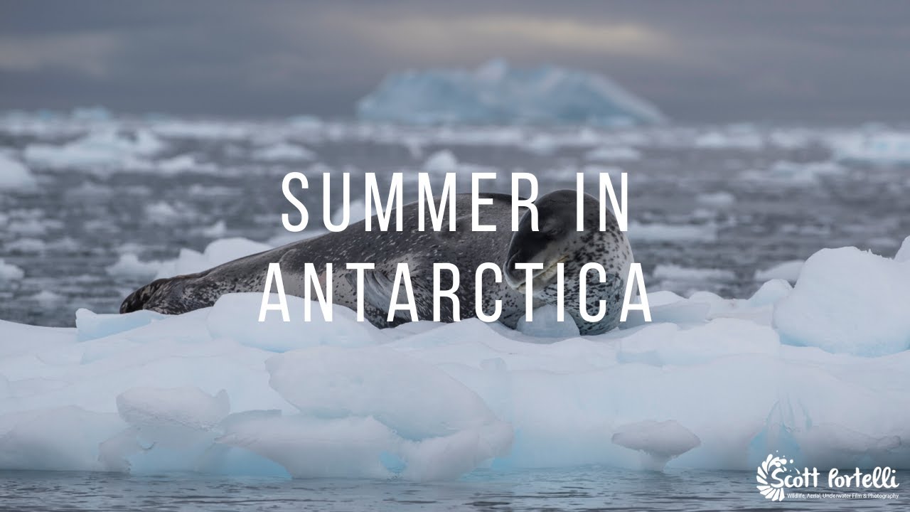 Summer in Antarctica