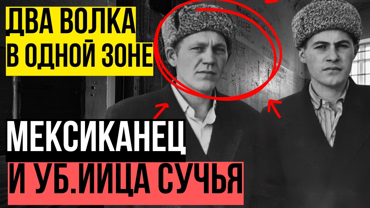 БУЗУЛУЦКИЙ и МЕКСИКАНЕЦ против СУК и режима Севураллаг СТАЛЬНОЕ БРАТСТВО