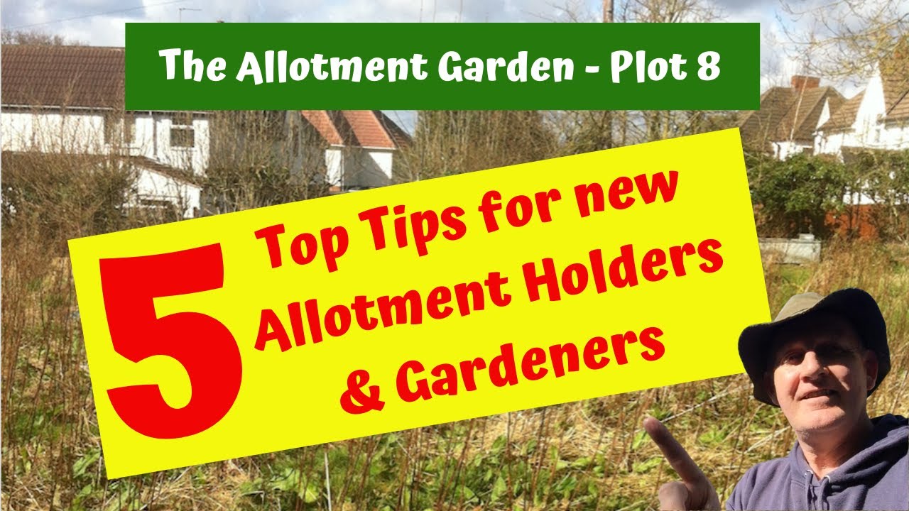 #2 Top Tips for new Allotment Holders & Gardeners