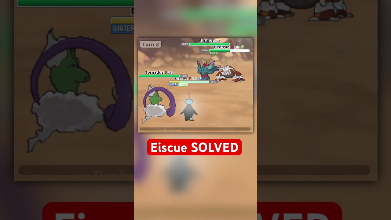 EPIC EISCUE SWEEP