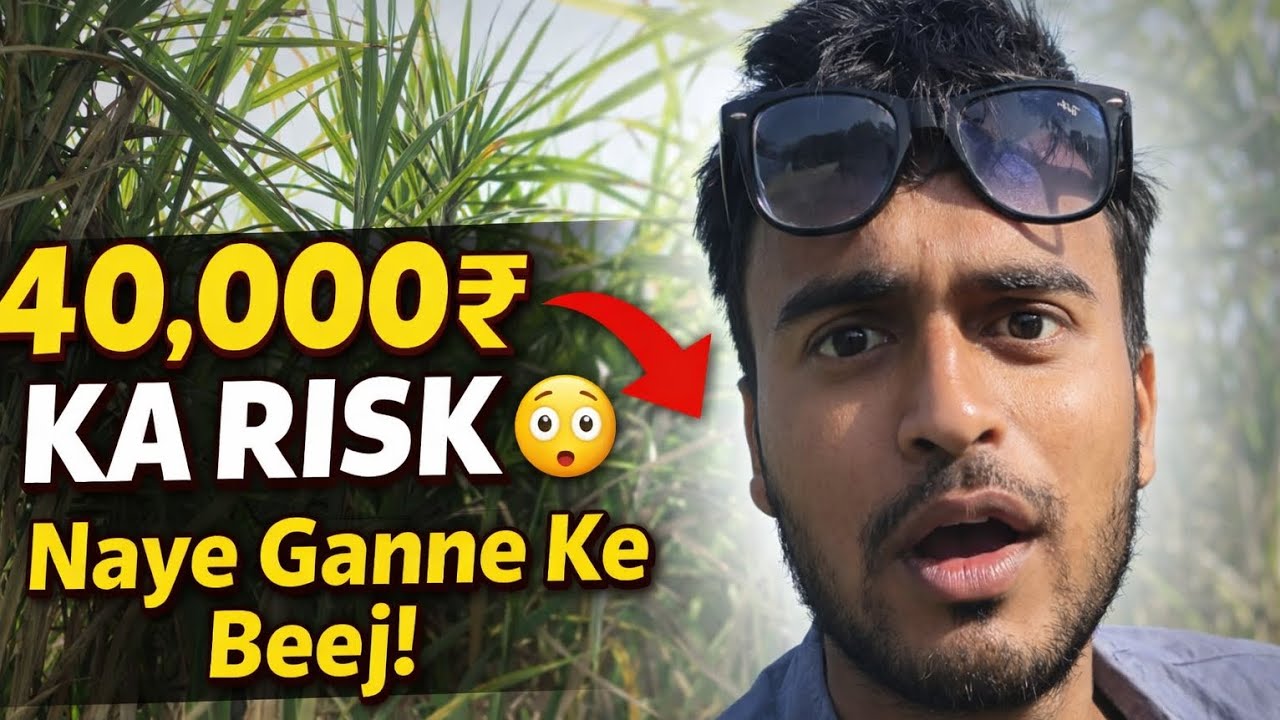 Itna Bada Risk Kyu Liya? 40K Invest in Sugarcane Farming 🌱