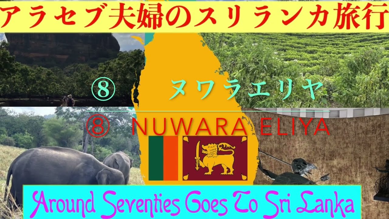 アラセブ夫婦のスリランカ旅行　８