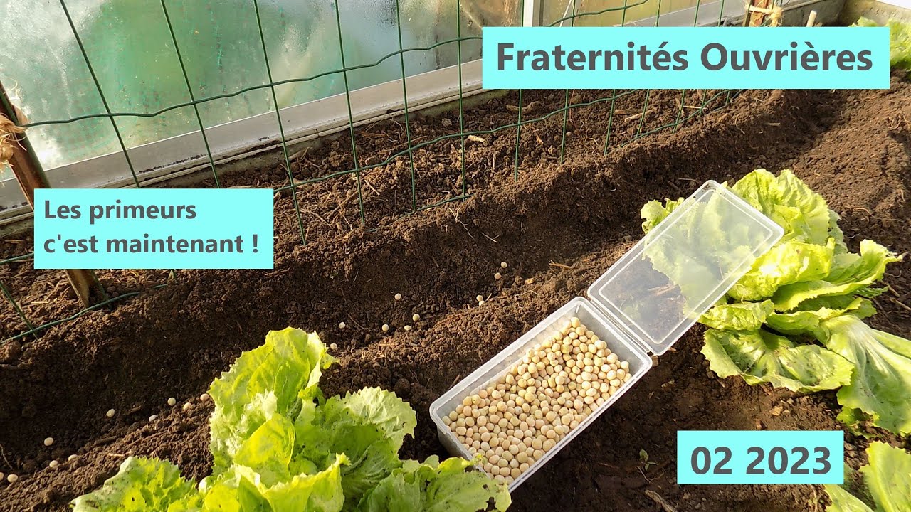 Fraternités Ouvrières - 02 2023 - Les primeurs c'est maintenant.