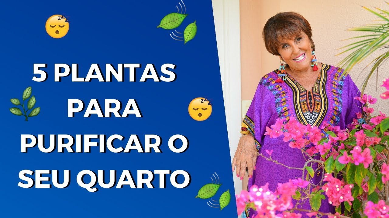 5 PLANTAS para PURIFICAR O SEU QUARTO por Márcia Fernandes
