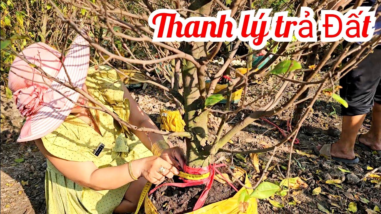 Kim Tuyền 📲 O786565755 Hoành to giá siêu nhỏ mai giảo Thủ Đức 18/3 (@MaivàngQuêdừa)