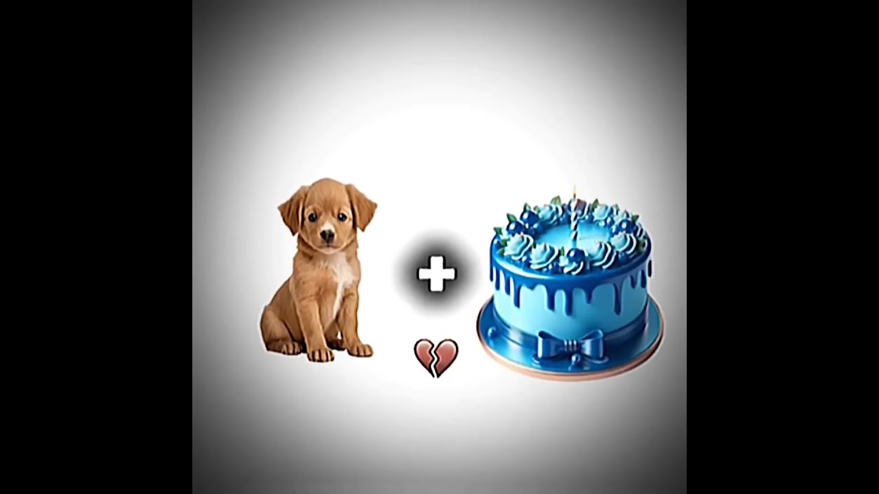 Dog x cake🤣 #cake #memes #funny