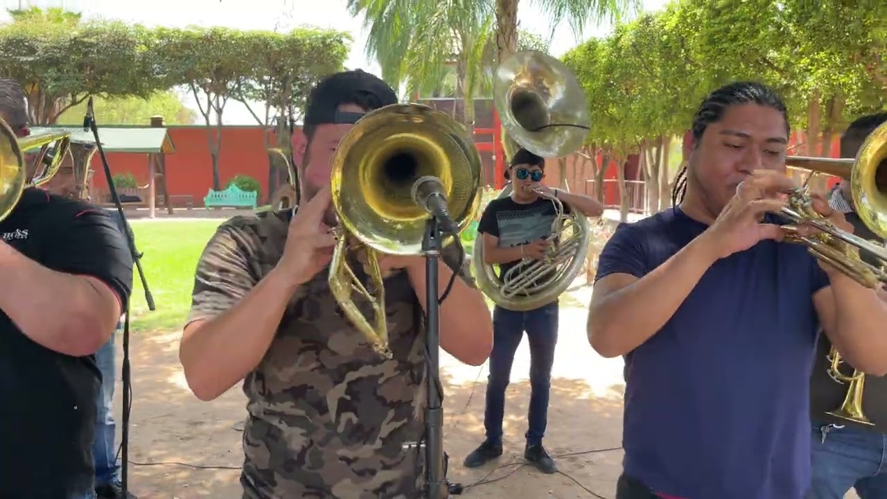 La Juanita (musica instrumental) - banda los populares del llano
