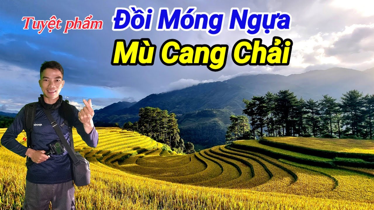 Vlog Du Lịch Mù Cang Chải | Trải Nghiệm Đồi Móng Ngựa Mùa Lúa Chín