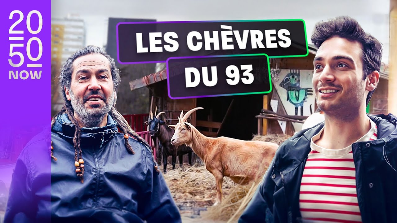 Je découvre une bergerie en pleine banlieue