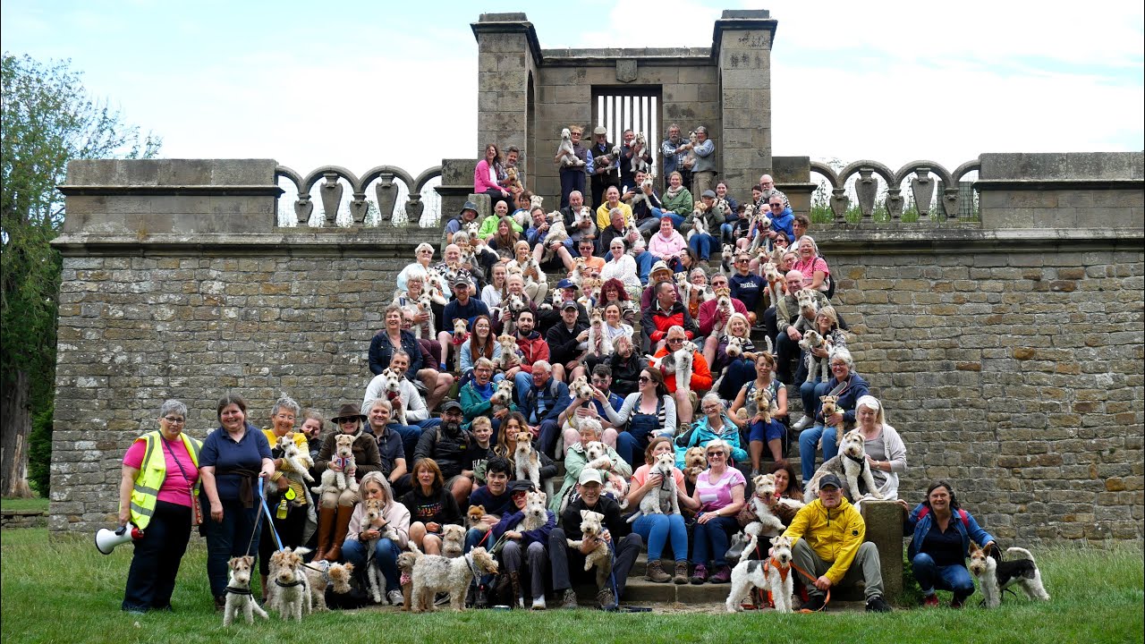 National Fox Terrier Meet, Chatsworth House, Derbyshire,  2nd July 2023
