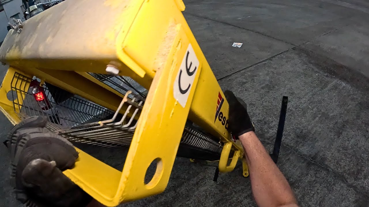Dumpster Diving 