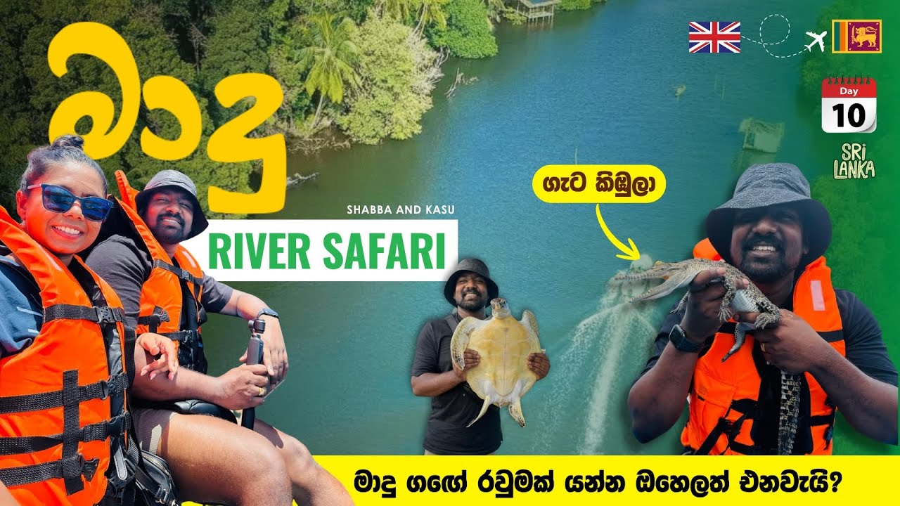 Day 10 in Sri Lanka 🇱🇰 | Madu River Safari Adventure | Family Travel Vlog