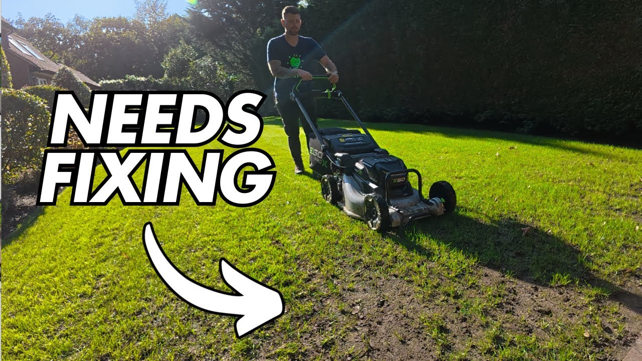 How To Fix Lawn BARE Patches With Ease!