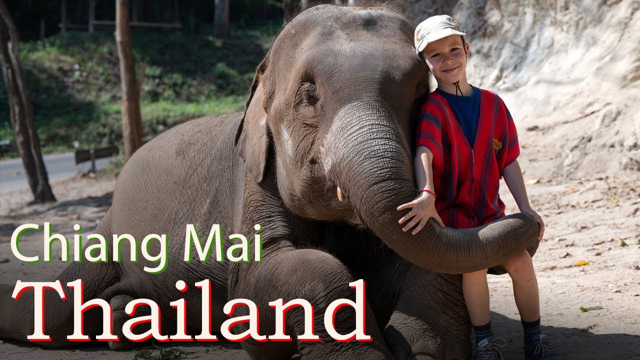 Thailand, Chiang Mai 2025 - boys' trip to the north of Thailand