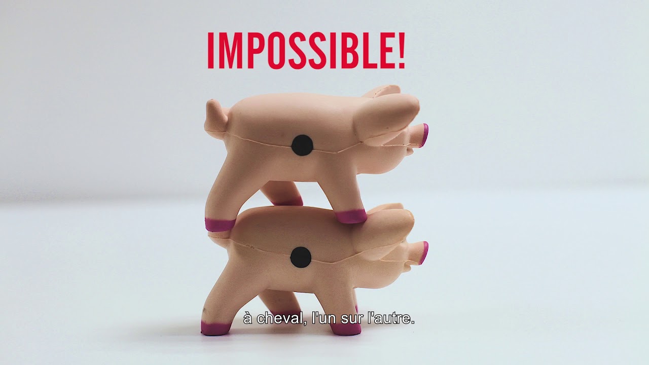 Jeu de cochon - Comment jouer ?