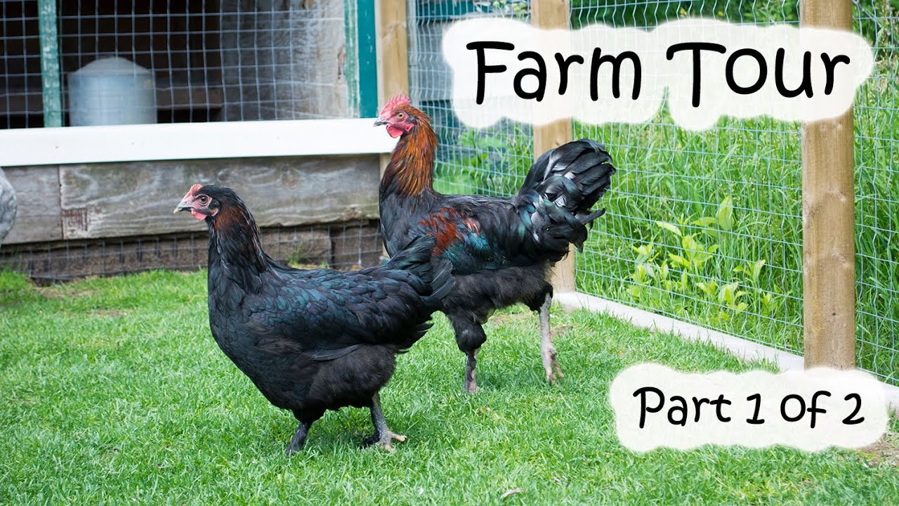 Summer Farm Tour 2016 Part 1 of 2.