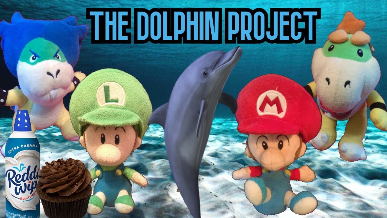 The Dolphin Project