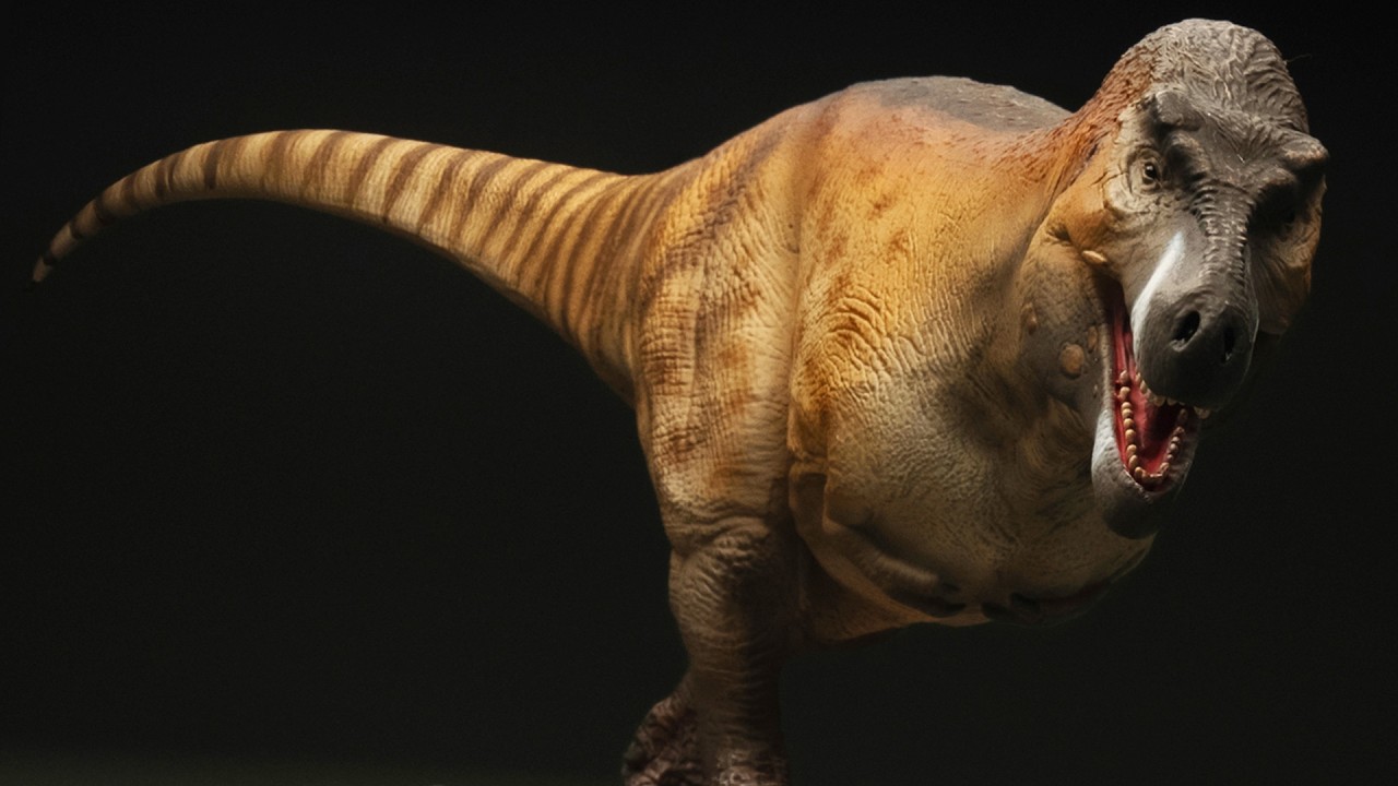 The Most Accurate T. rex Reconstruction So Far?