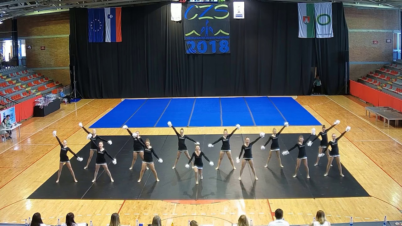 TD CZS 2018 — HSFDT — Gimnazija Ledina {Šole}