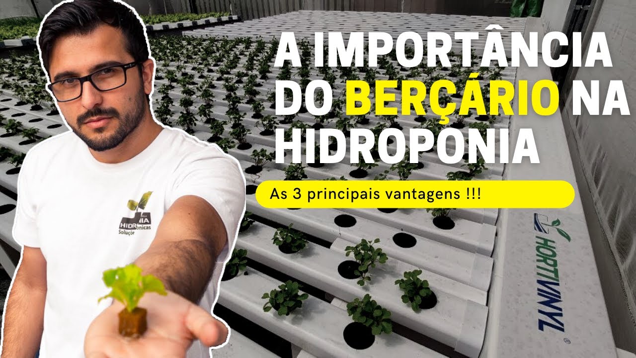 A importância do Berçário na Hidroponia!