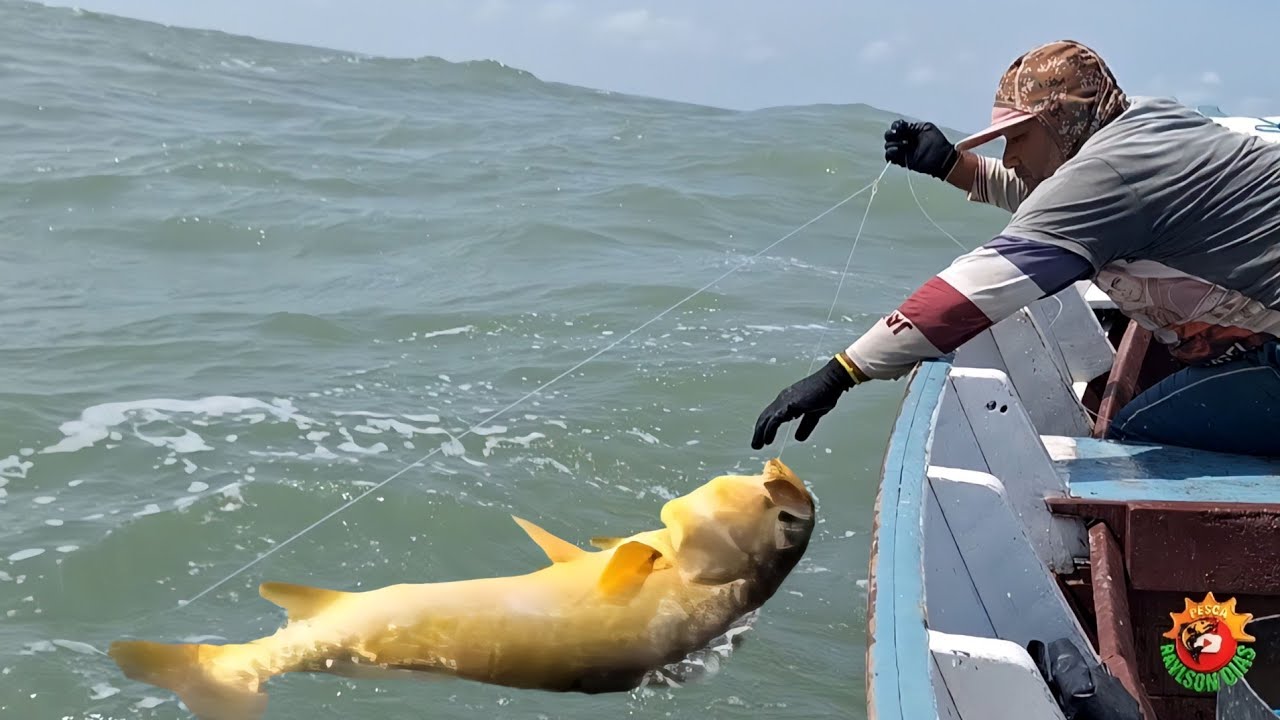 Vejam a rotina dos pescadores de espinhel em alto mar. Guerreiros
