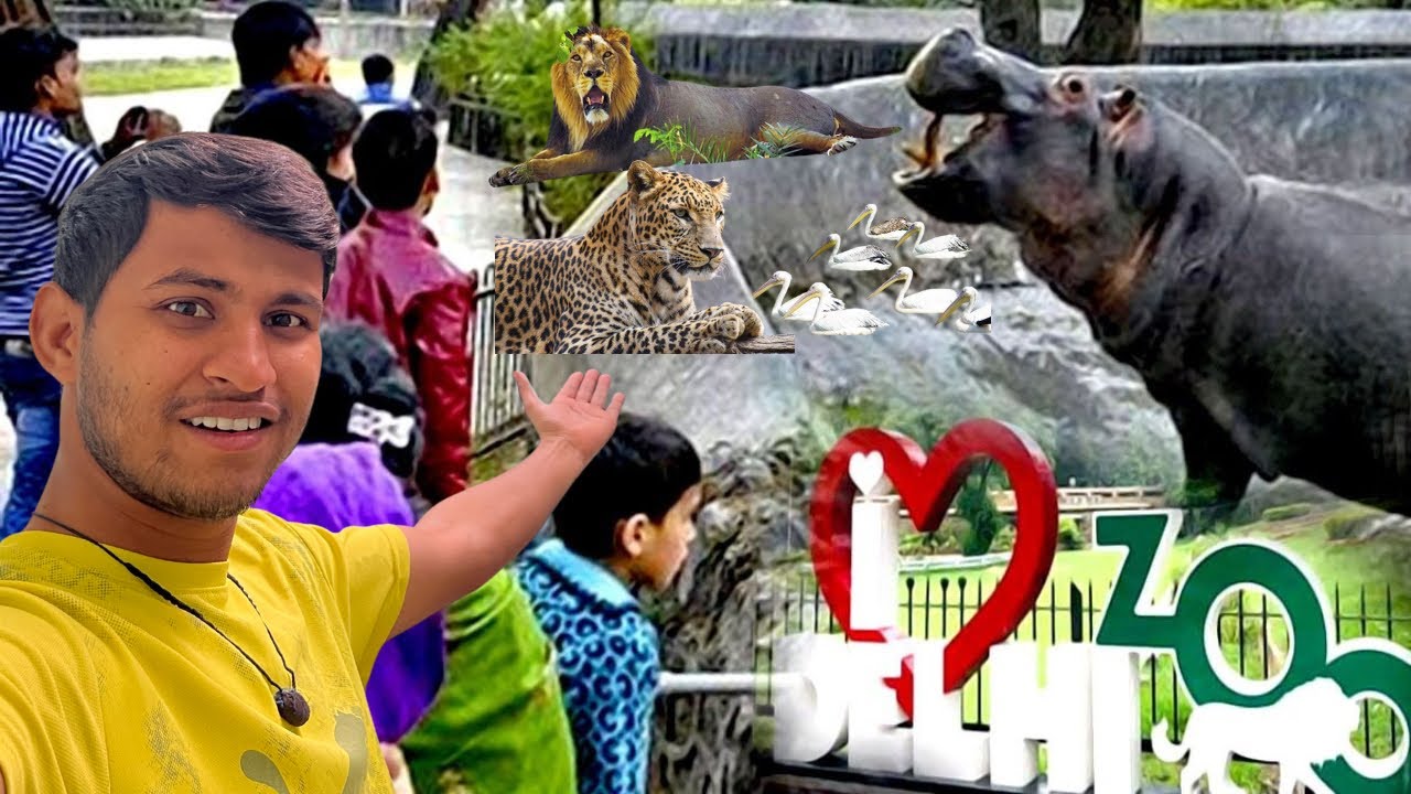 Delhi ke chidiya garh aa gae aaj 😍 | delhi zoo 🤩 | आज कौनसे कौनसे जानवर देख लिए हमने 😍 |