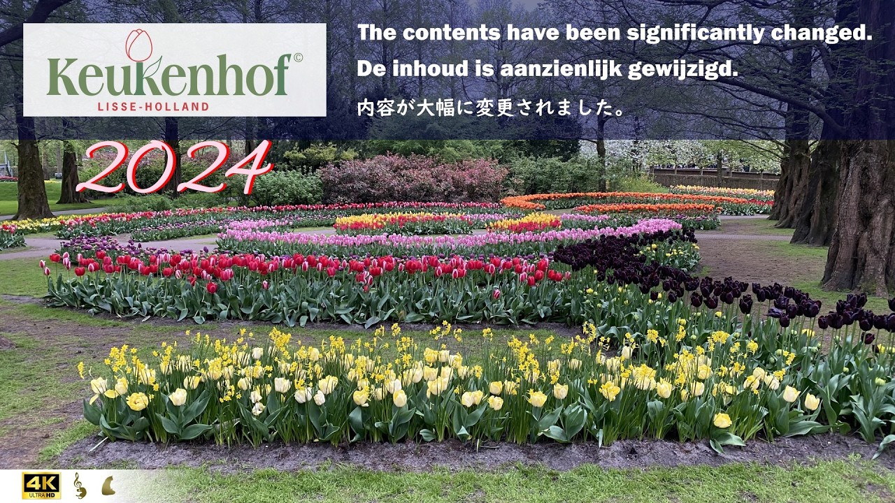 [Third re-release💦] It's too late... Keukenhof Garden 2024 - Moving from the Tulip Catalog channel