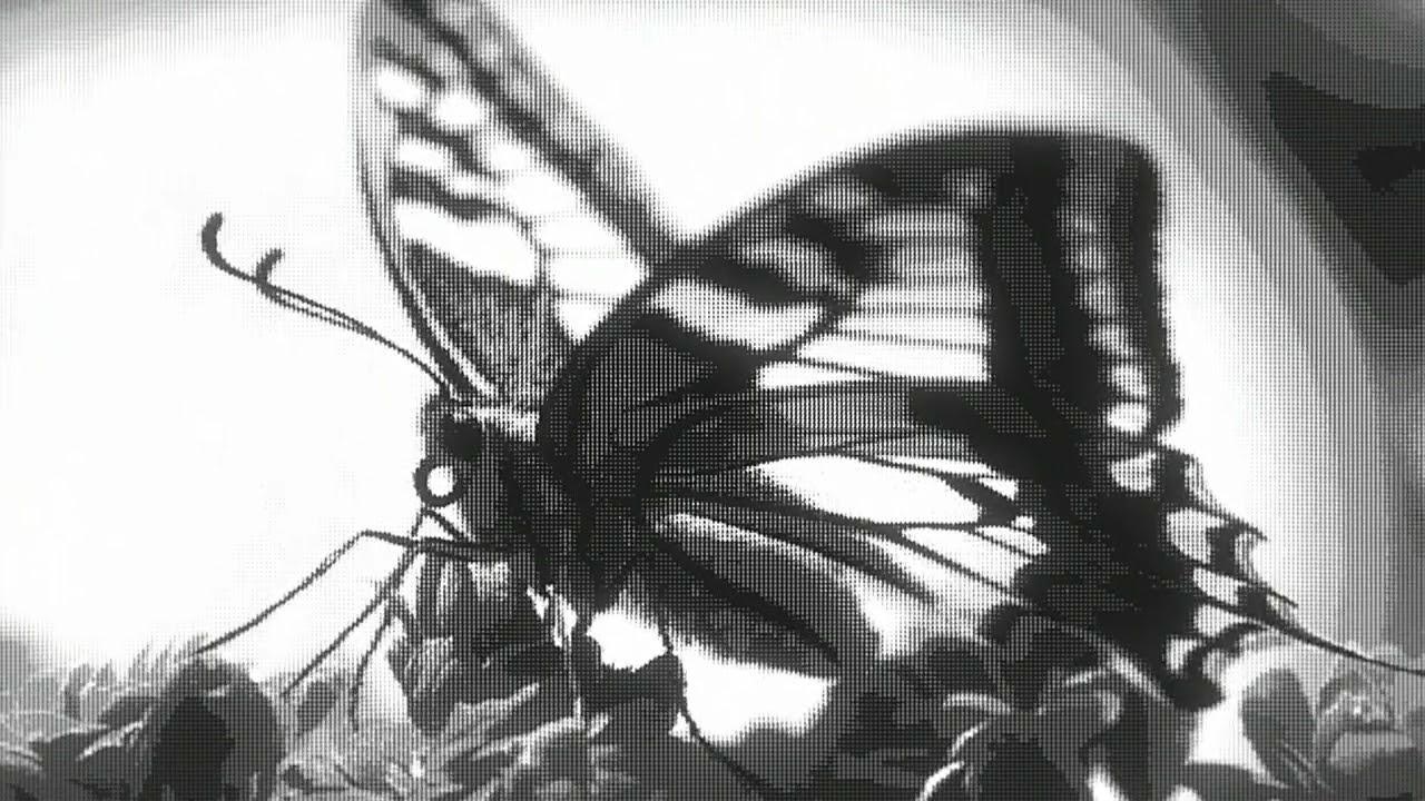 lundra - neofluxuational
