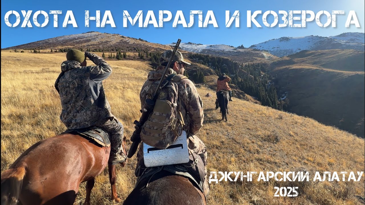 Горная охота на марала и козерога, Казахстан 2025. Hunting for maral and ibex, Kazakhstan.